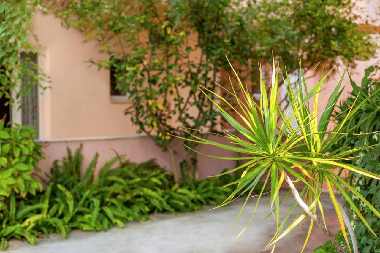Aphrodite Studios & Apartment Bali  ภายนอก รูปภาพ